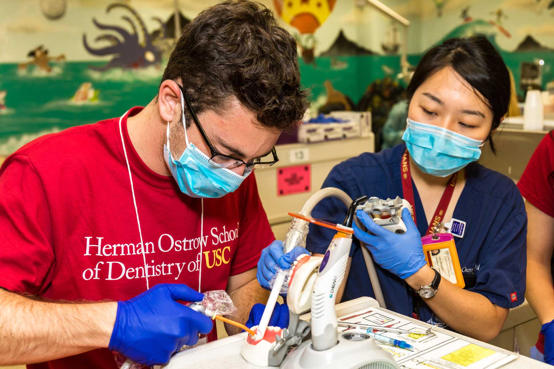 Drilling, filling and Xrays Undergrads learn what it’s like to be a