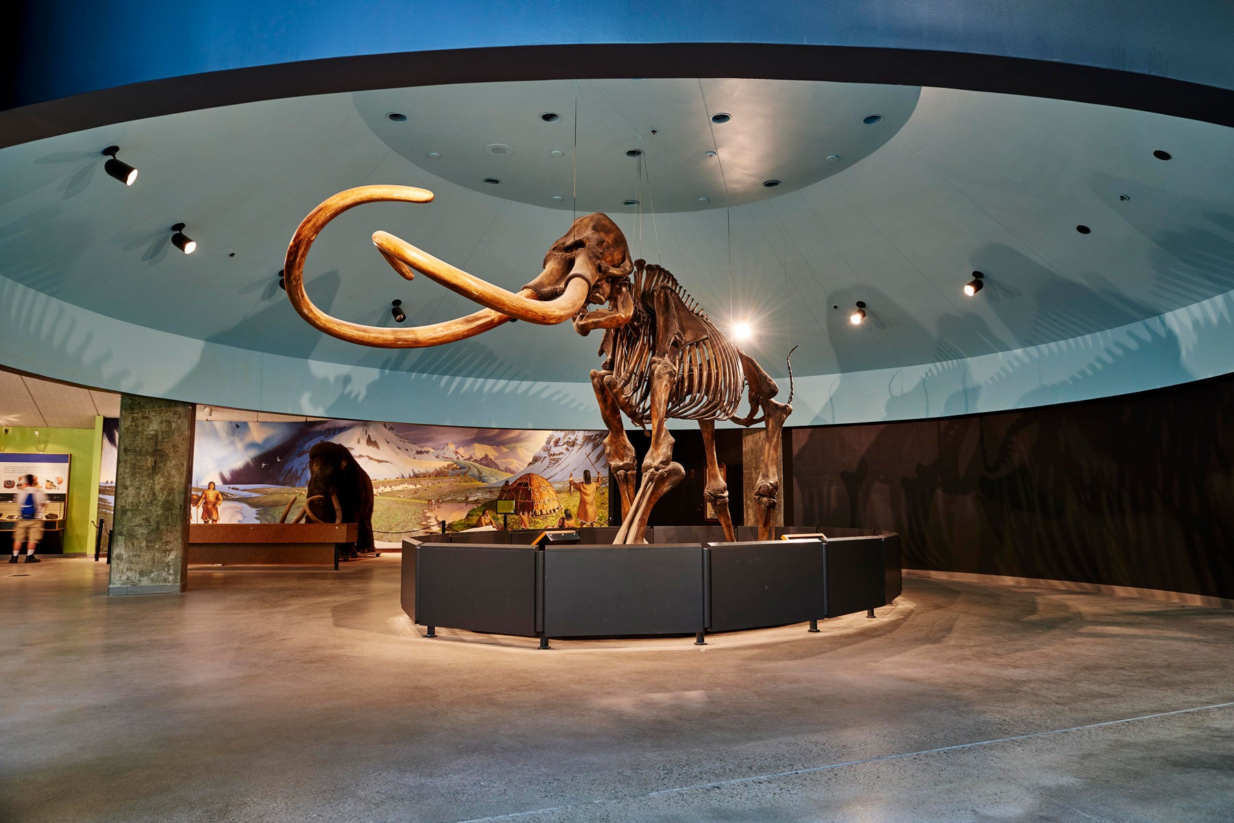 La Brea Tar Pits And Museum Los Angeles