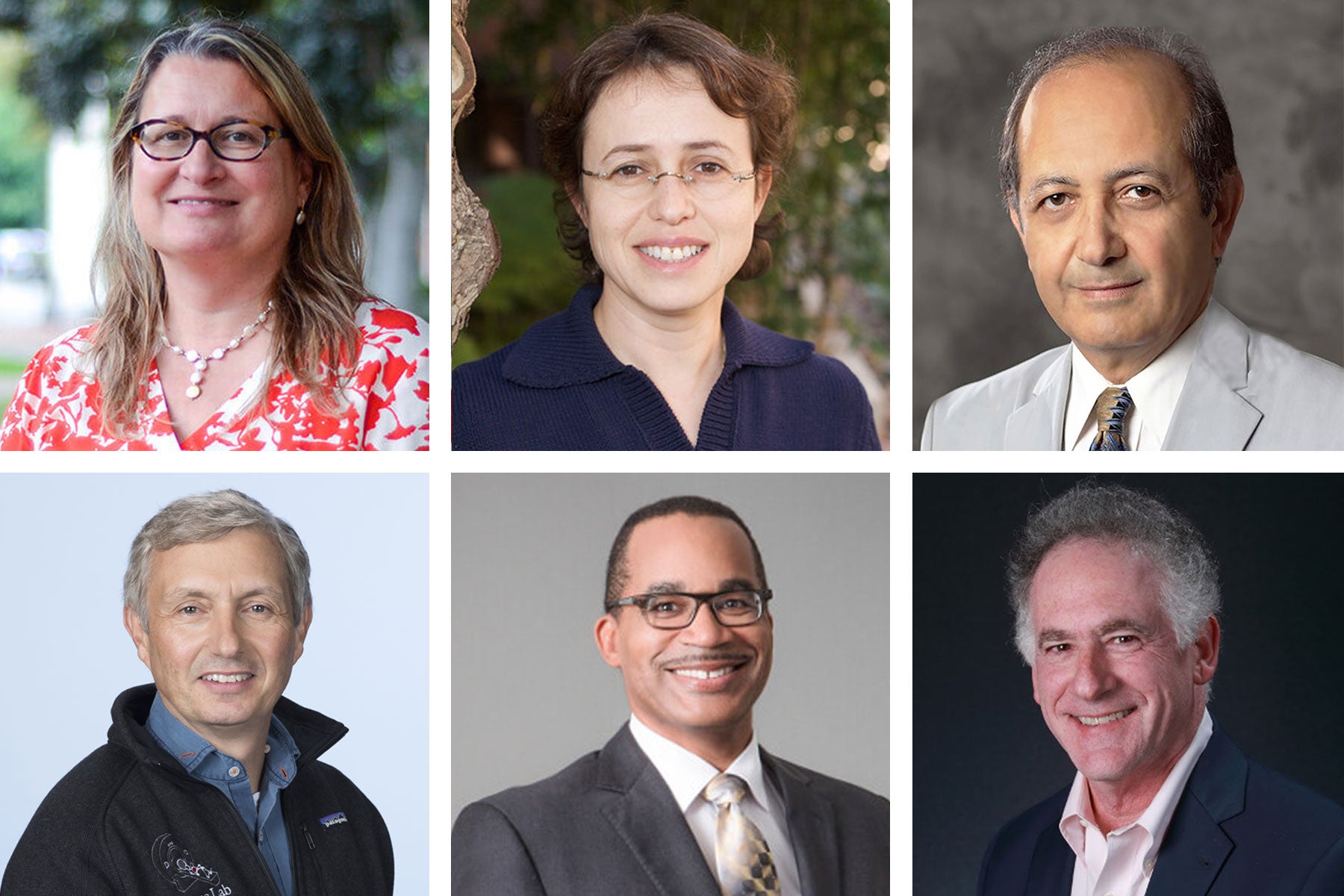 2020 AAAS Fellows Include Six USC Researchers And Scientists