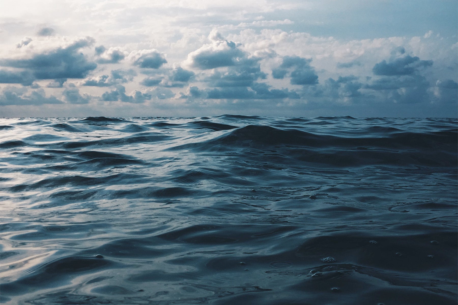 Unlocking the ocean's secret: Natural carbon capture — USC News